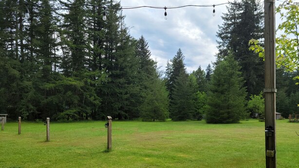 Un champ herbeux avec des arbres et un poteau en bois muni d’un luminaire.