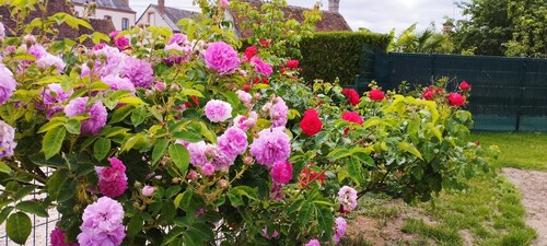 Cottage in Sologne, Loire Valley Castles, Beauval