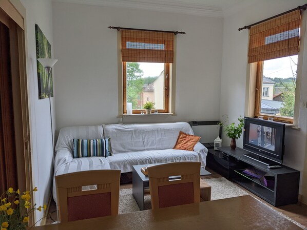 Télévision, cheminée