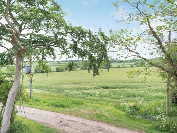Een landelijk landschap met een onverharde weg, groene velden en bomen.