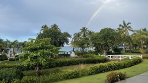 Ein üppiger Garten mit Palmen, einem weißen Zaun und Blick auf das Meer.