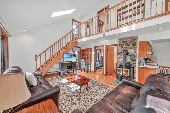 Smart TV, fireplace, DVD player, books