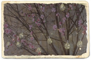 Détail de l’intérieur