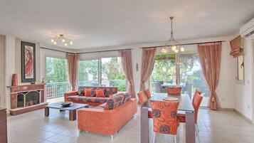 Flat-screen TV, fireplace, DVD player, books