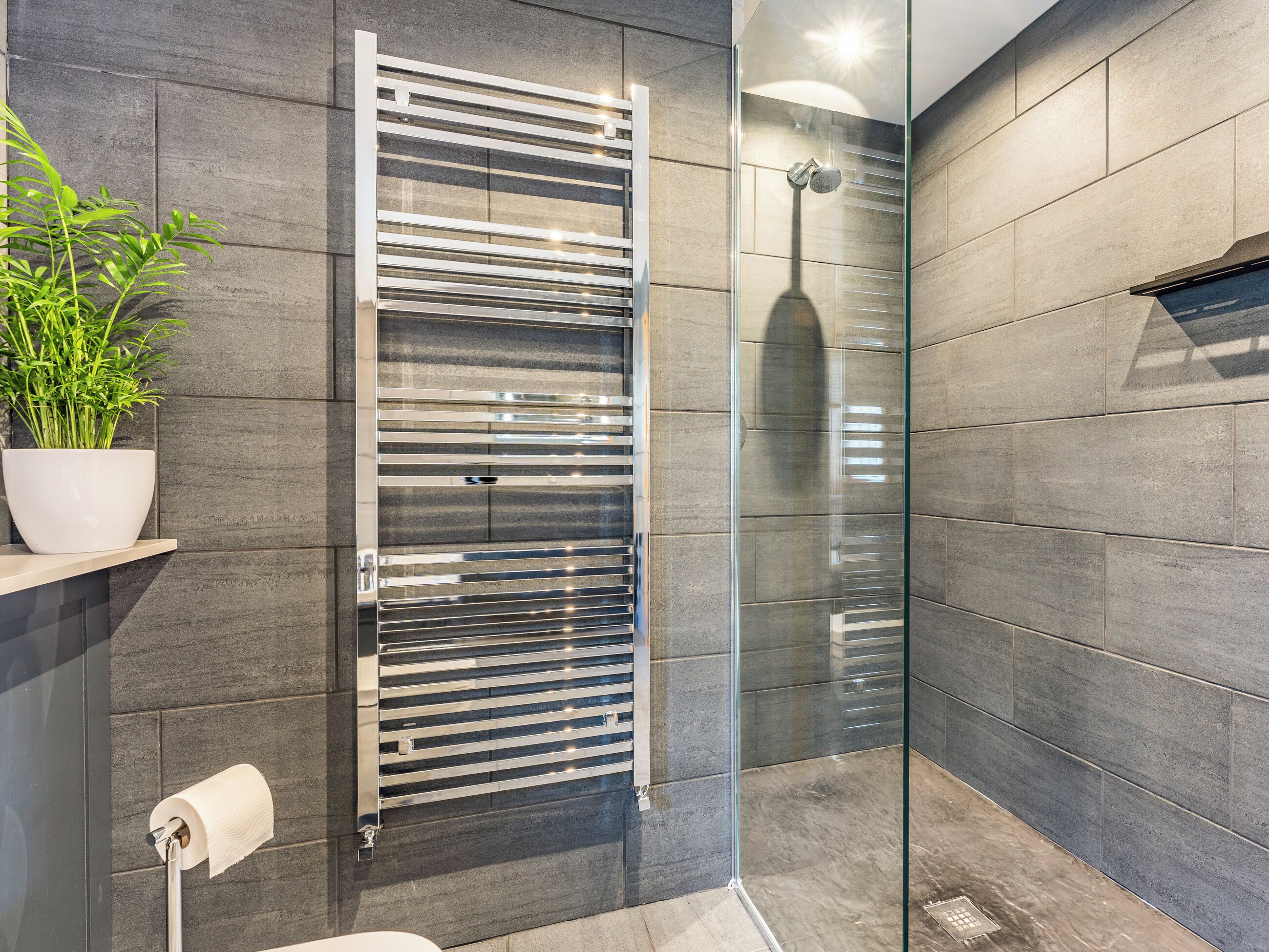 A modern bathroom with a glass shower enclosure, a towel rack, and a potted plant.