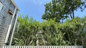 A residential area with a white fence, trees, and a building with siding. - Beach chic guest cottage, in town, just renovated (Nantucket)