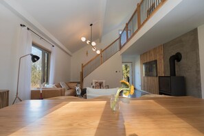Smart TV, fireplace, books, stereo