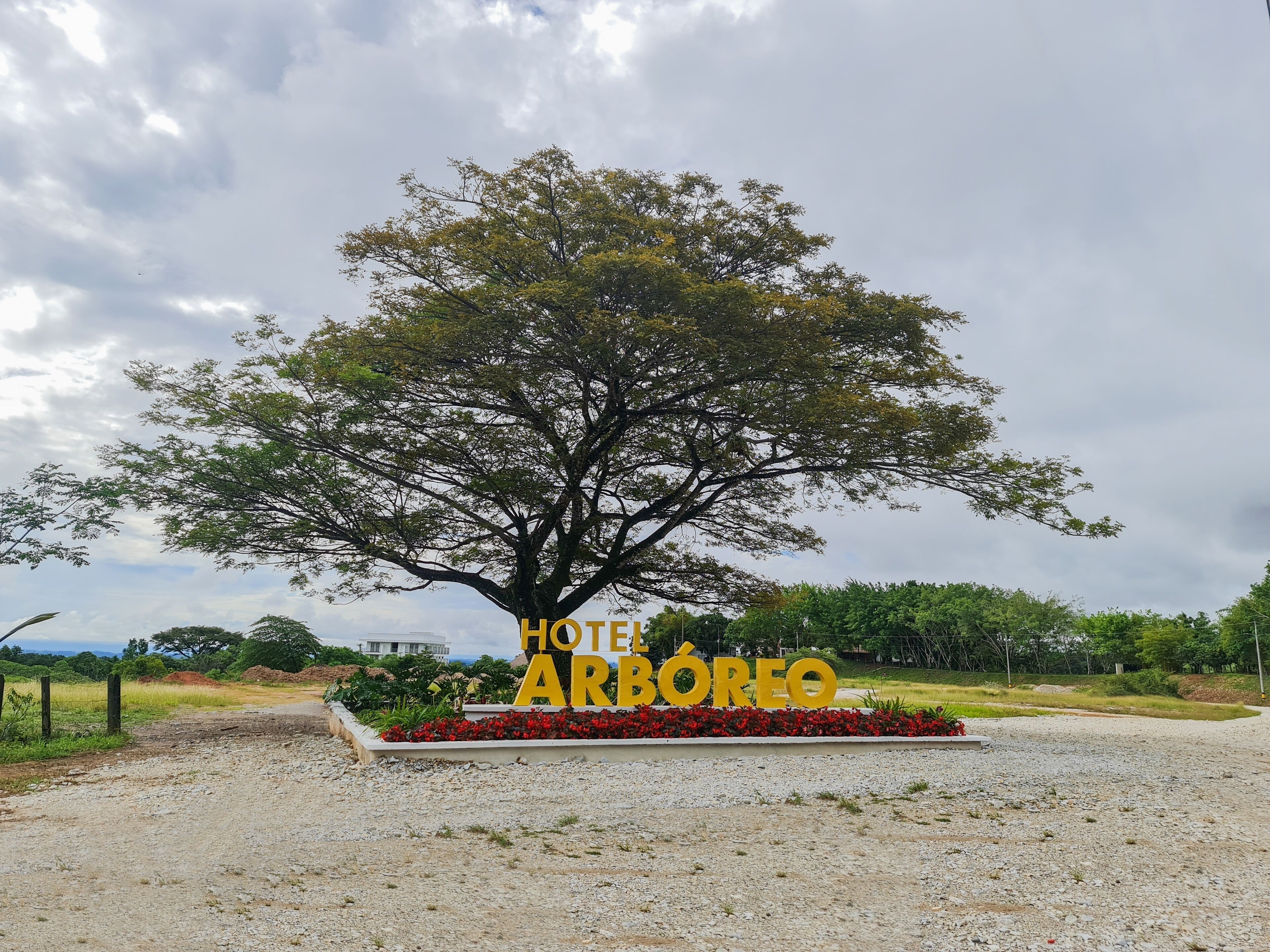 A large tree with a sign that reads "HOTEL AREBÓREO" in front of it.