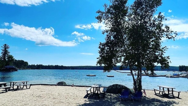 Una playa con mesas de picnic y un árbol, con vistas a un lago tranquilo con barcos.
