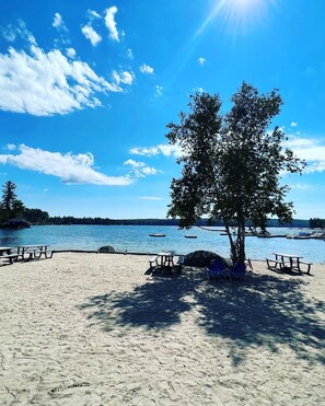 Ein Strand mit Picknicktischen und einem Baum, der auf einen ruhigen See mit Booten blickt.