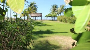 A tropical garden with a thatched-roof structure, palm trees, and a clear view of the ocean.