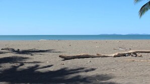 A beach with a long driftwood piece and palm tree shadows on the sand.