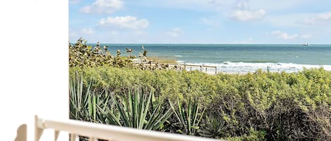 Un balcon offrant une vue sur l’océan, avec une balustrade en bois et un feuillage dense au premier plan.