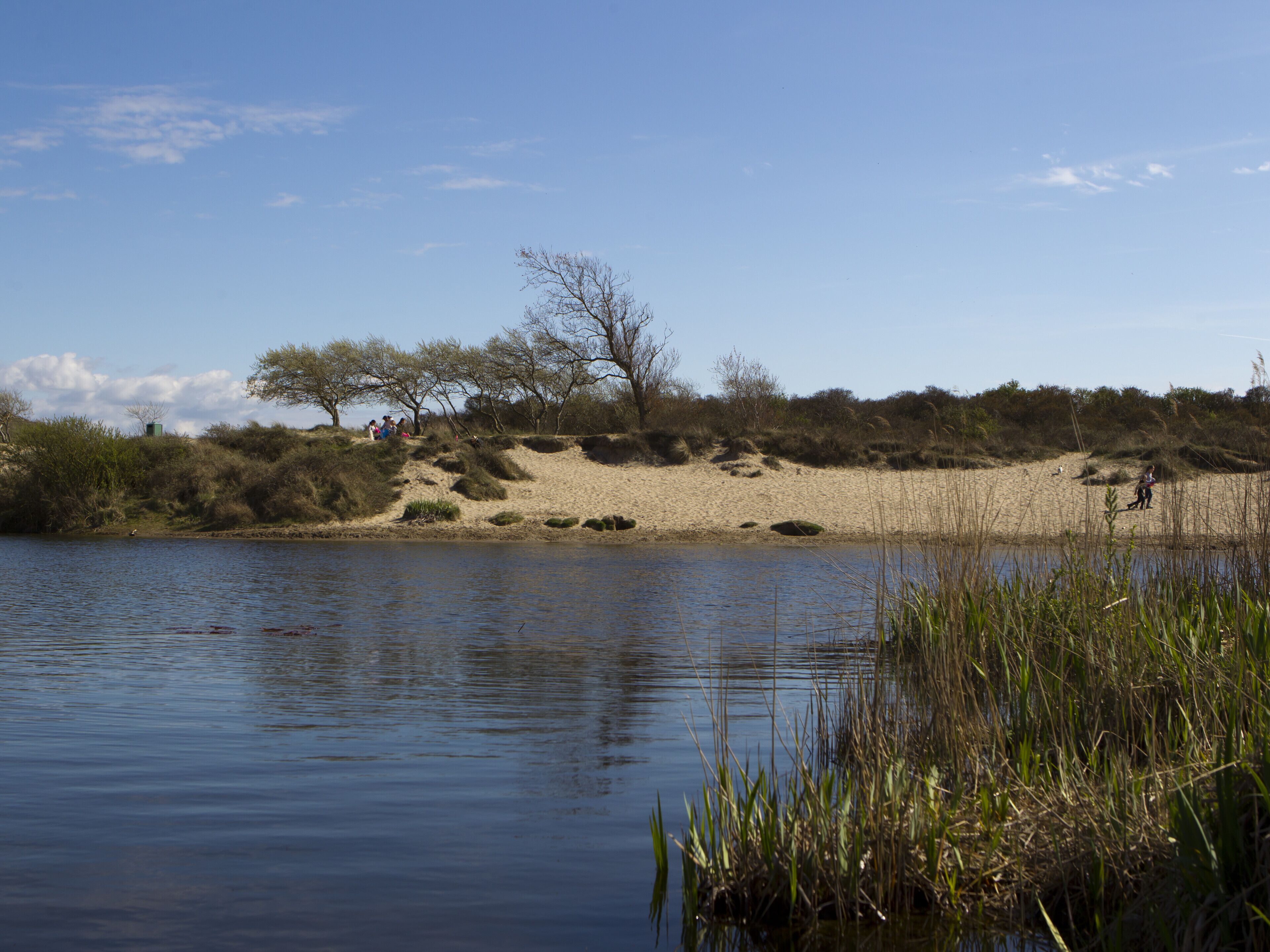 Un lac paisible, aux rives sablonneuses et à la végétation clairsemée.