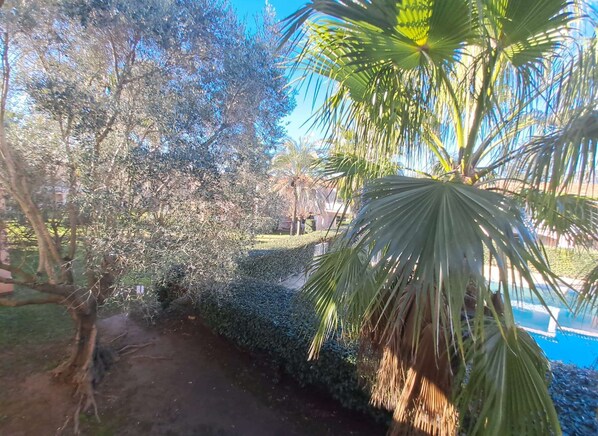 Jardines del alojamiento