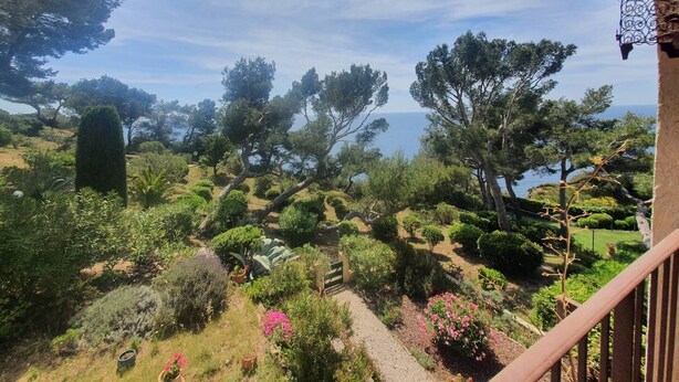 A garden with various plants and trees, a pathway, and a view of the sea. - Residence with swimming pool, 2 bedroom apartment with east facing terrace, full sea view (ST MANDRIER SUR MER)