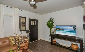 TV