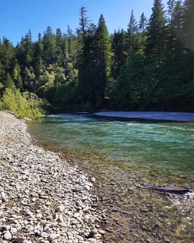 Giant Redwoods RV and Cabin Destination