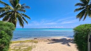 Una playa con agua turquesa cristalina, palmeras y un sendero arenoso que lleva al agua.