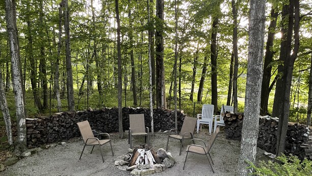 A forested area with a fire pit and several chairs arranged around it.