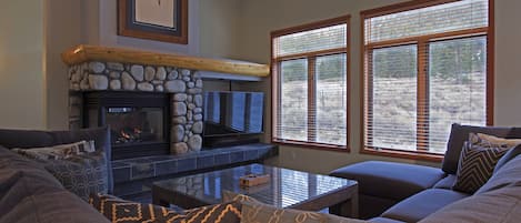 Smart TV, chimenea, reproductor de DVD y libros