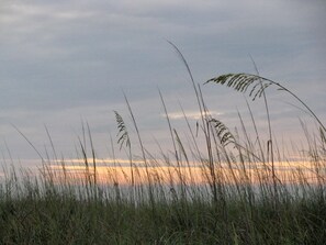 Unclassified image, 5 of 7, button - Walking distance to Beaach (Hilton Head Island)