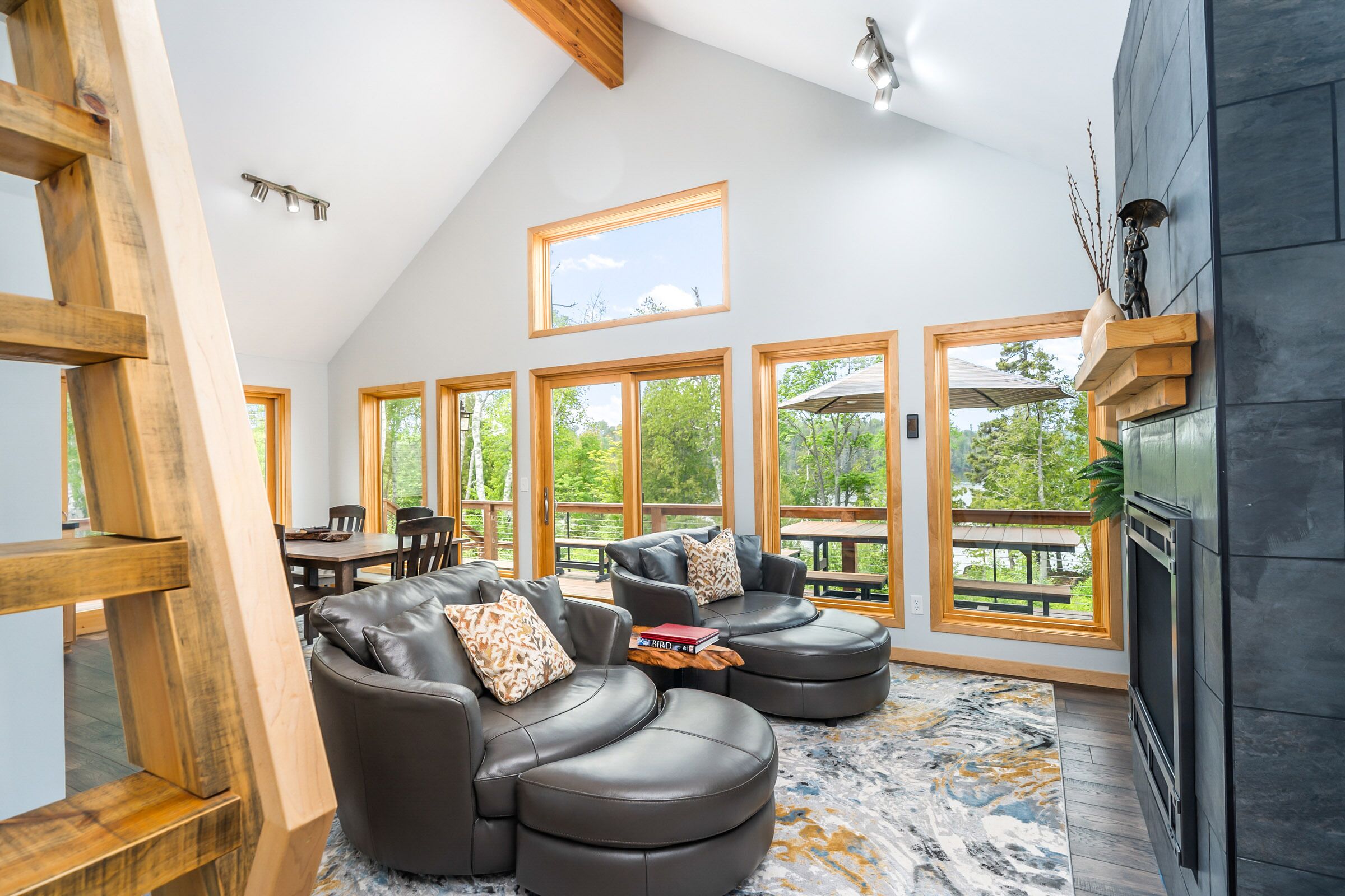 Una Smart TV, una chimenea, un reproductor de DVD, una videoteca