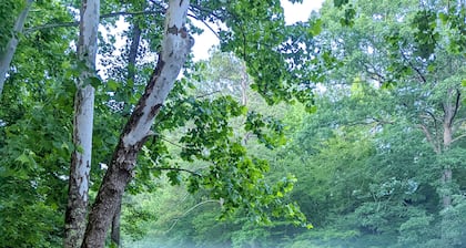 Secluded Riverfront Cabin 5 acres on Little Missouri River