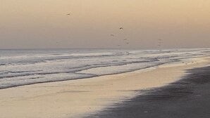 Een strand met golven en vogels in de lucht.
