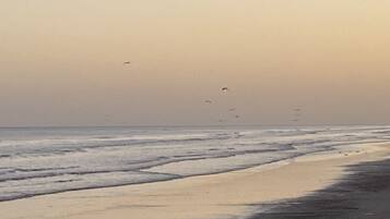 Beach nearby, sun loungers