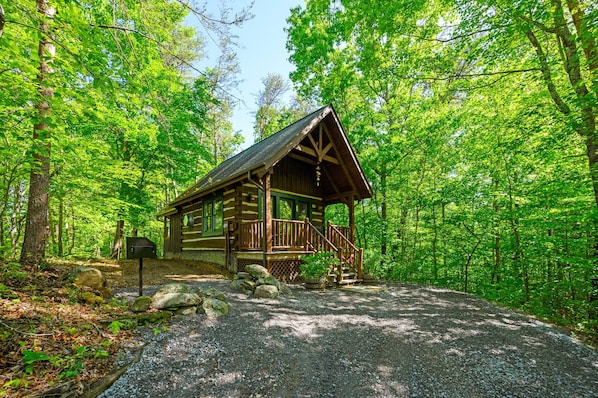 A rustic cabin with a porch, surrounded by dense forest.