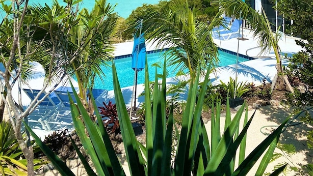 A pool area with clear blue water, surrounded by tropical plants and a view of the ocean. - Intimate remodeled villa with private beach and pool. (Providenciales)