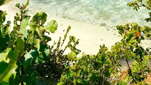 A clear view of a beach with a gazebo, a sandy shore, and a calm sea. - Intimate remodeled villa with private beach and pool. (Providenciales)