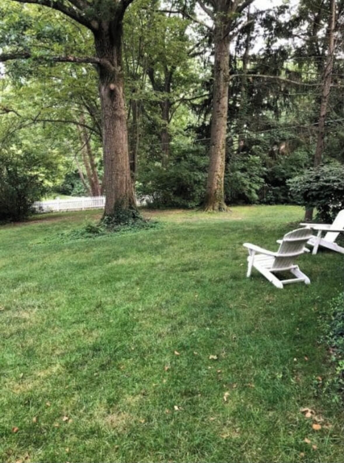 Un espace extérieur verdoyant, avec un grand arbre et deux fauteuils Adirondack.