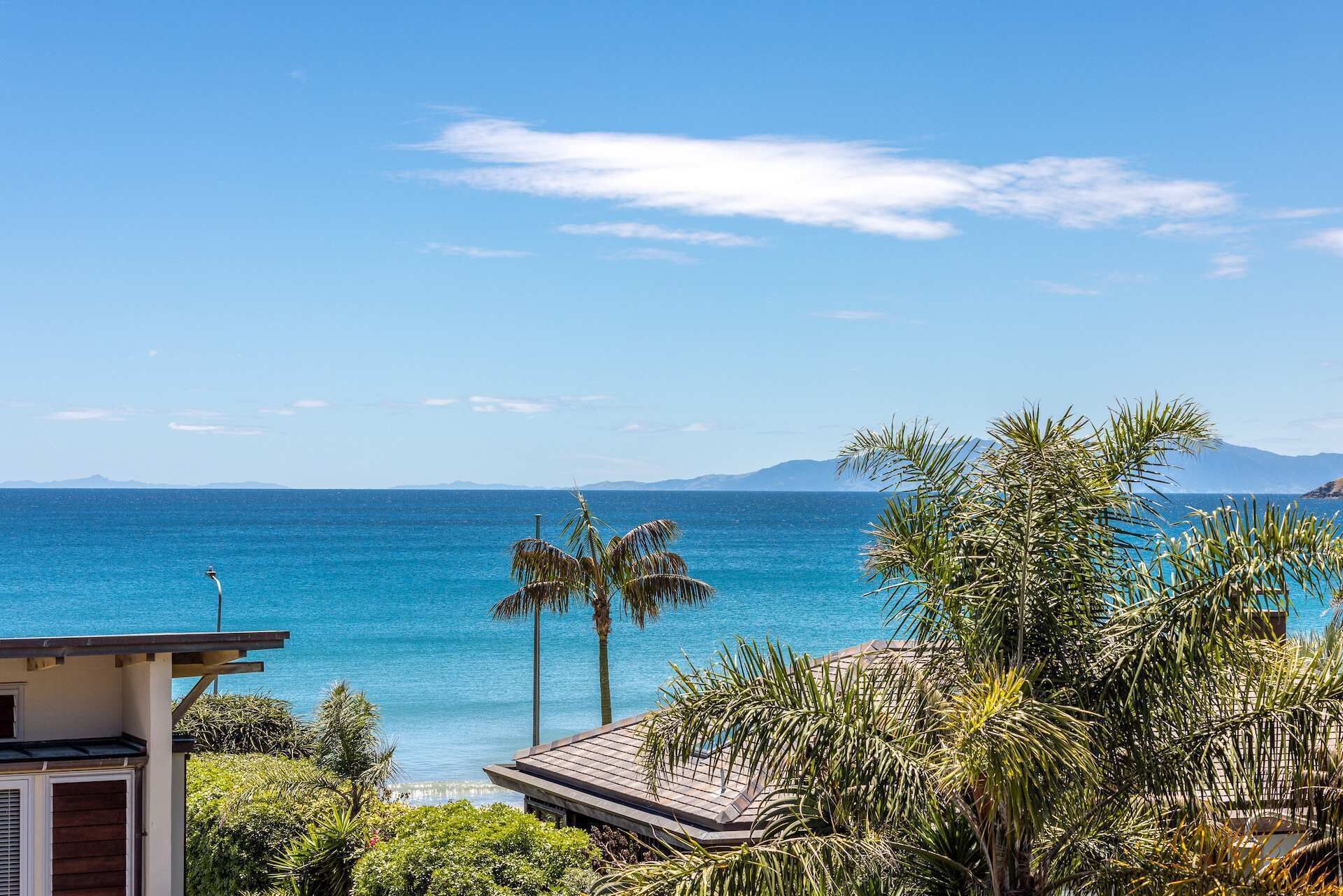 A coastal view with a wooden deck, palm trees, and a clear blue sky.