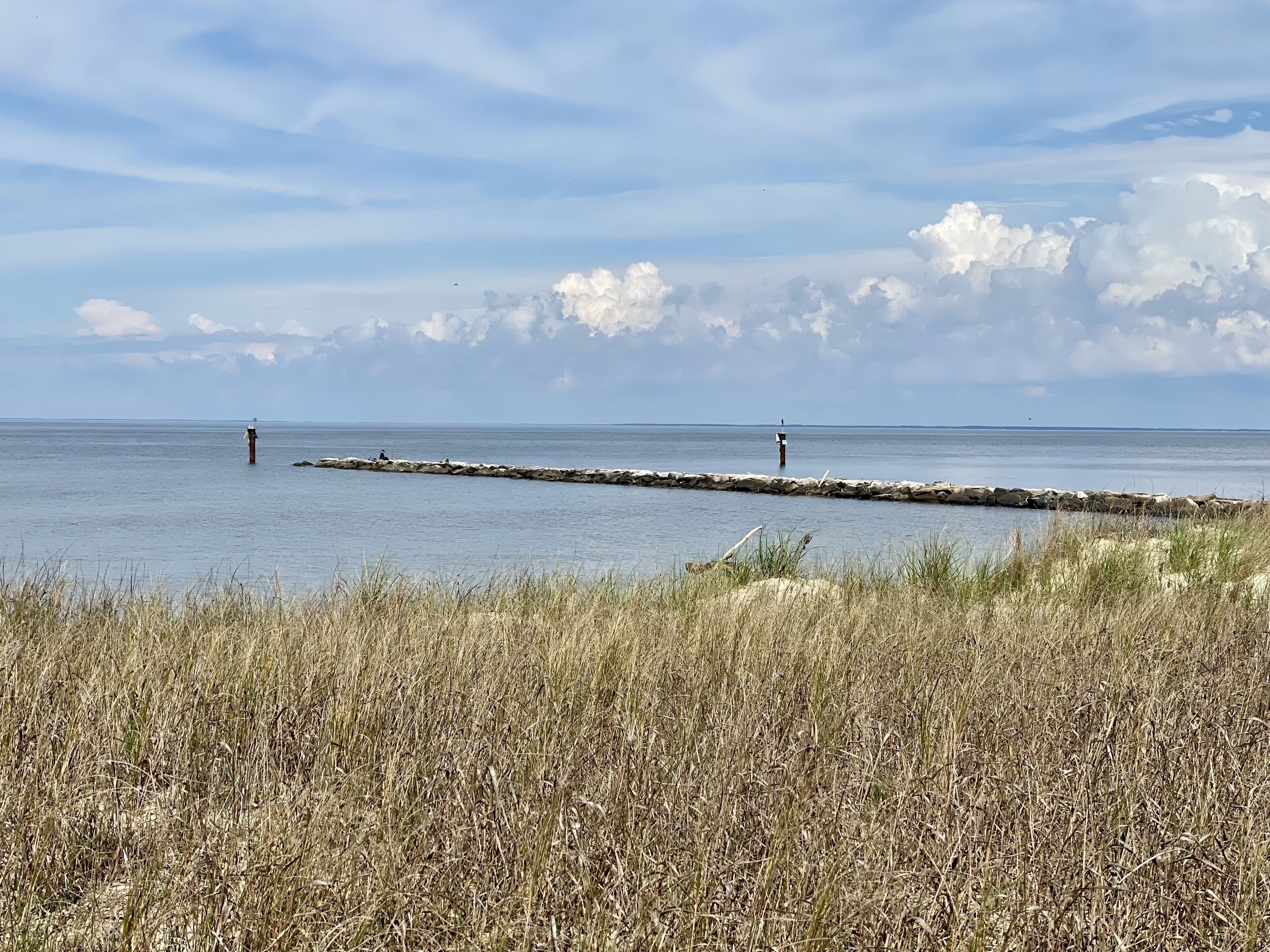A coastal scene with a rocky breakwater extending into calm waters, surrounded by dry grassland.
