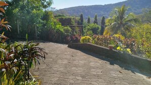 A paved patio area with hexagonal tiles, surrounded by various plants and trees, and a view of a hilly landscape in the background.