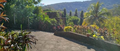 A paved patio area with hexagonal tiles, surrounded by various plants and trees, and a view of a hilly landscape in the background.