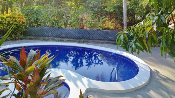A swimming pool surrounded by lush greenery and a metal fence.