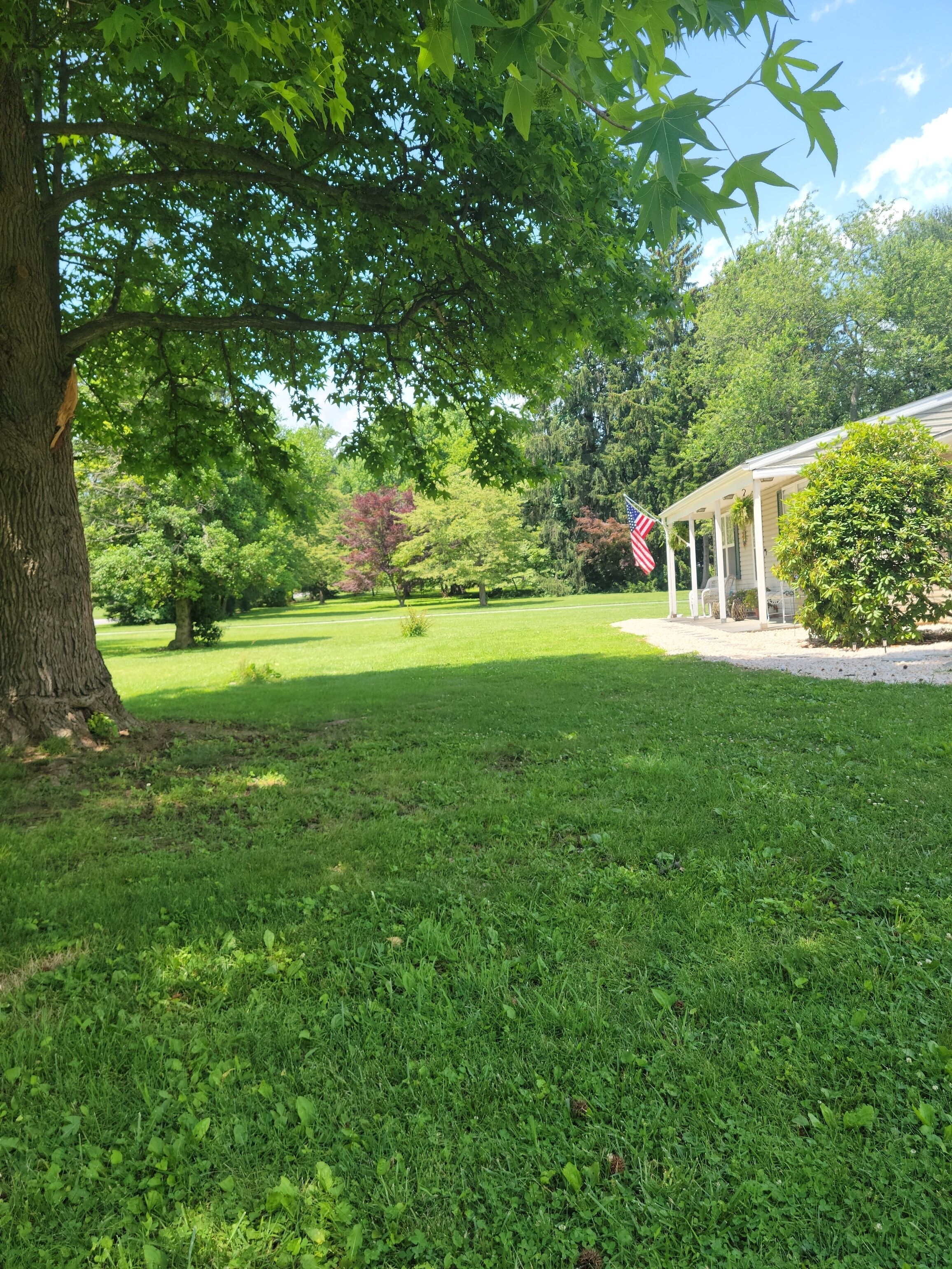 Cozy cottage close to it all in Wilmington