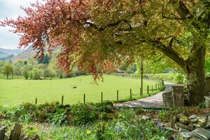 Stroll through a serene countryside setting along a well-maintained pathway surrounded by lush greenery and wildflowers.