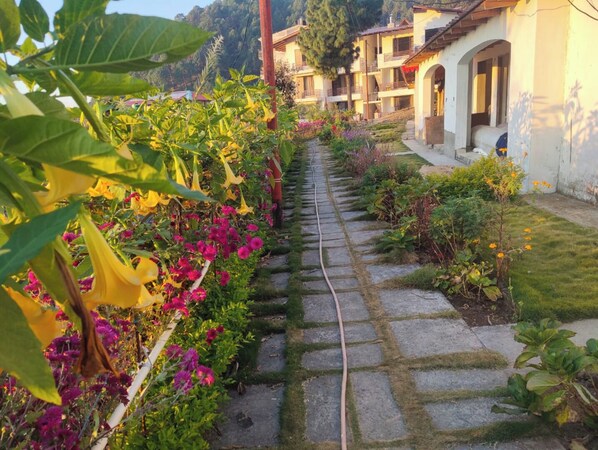 A garden pathway leading to a building with multiple balconies.
