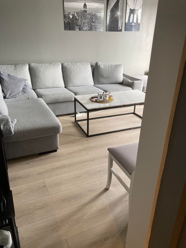 Apartment, 1 Bedroom, River View | Living area | TV