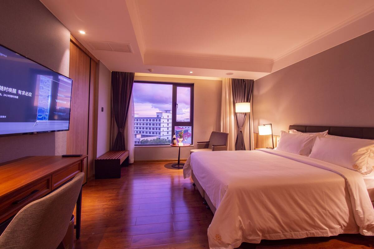 A hotel room with a bed, a desk, a television, a chair, a lamp, and a view of the city.