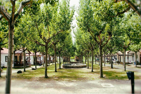 Terrein van de accommodatie