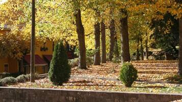 Parco della struttura