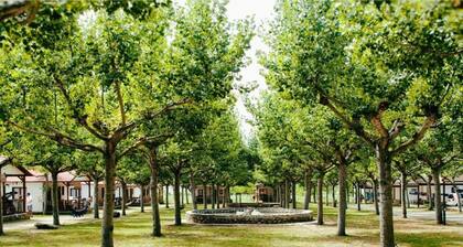 Bungalow rustique confortable avec piscine