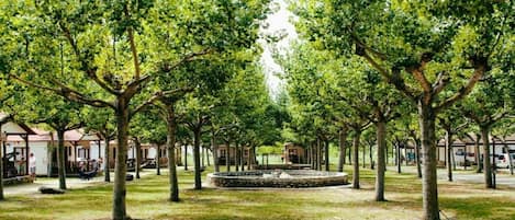 Parco della struttura