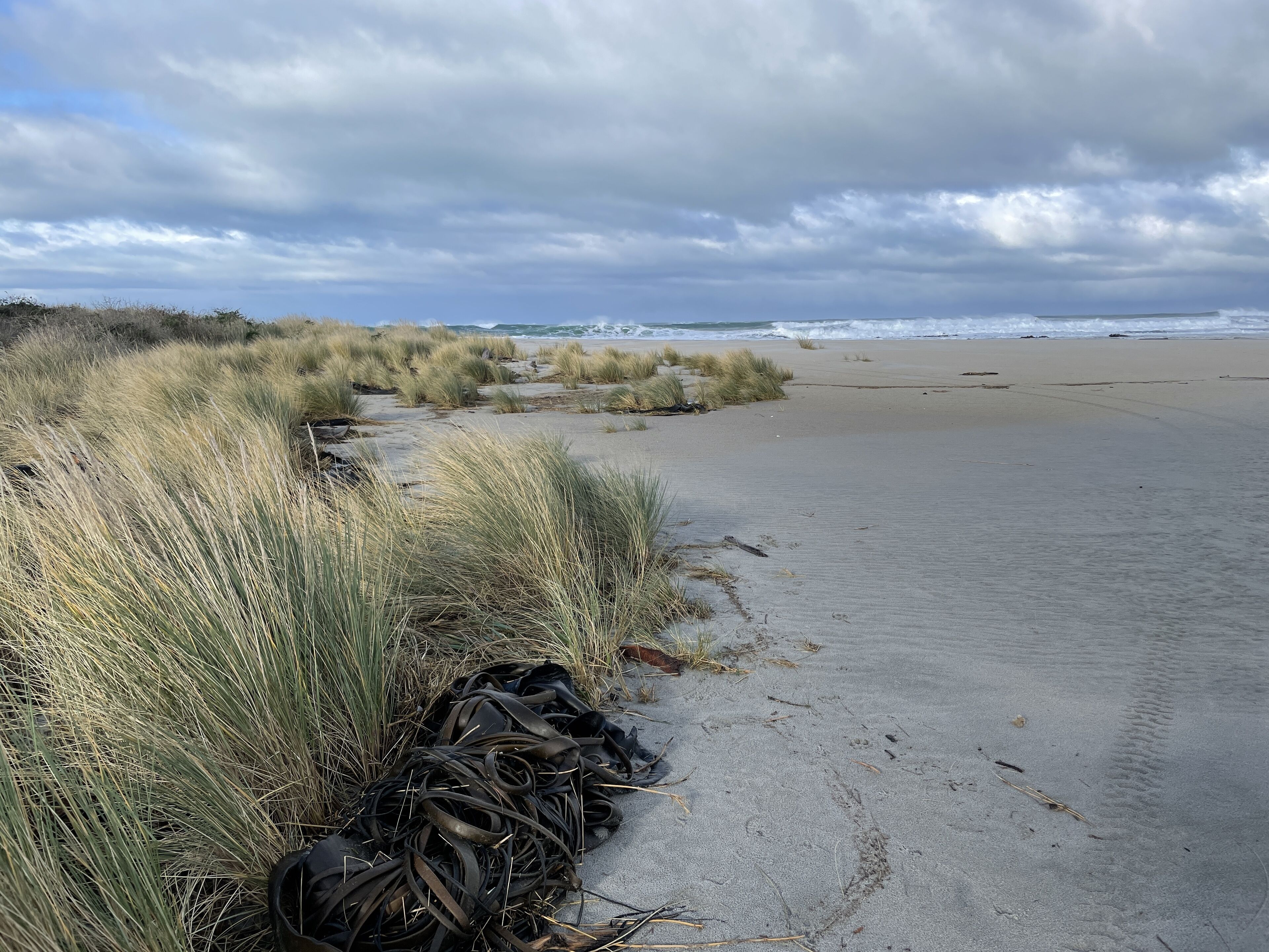 A beach with sand, grass, and waves in the background.