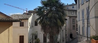 Lovely nest with fireplace